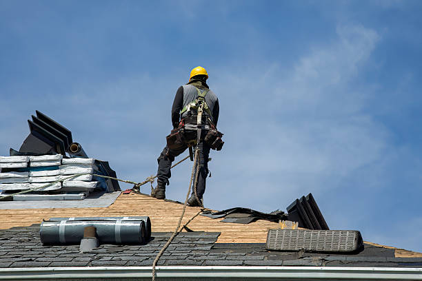 Professional Roof Replacement technician working in New Ross, IN
